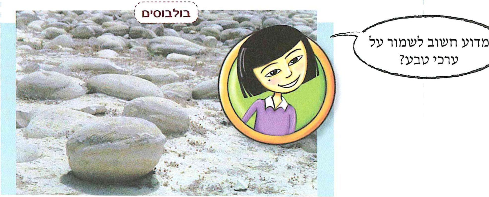 (בספר תמונה)